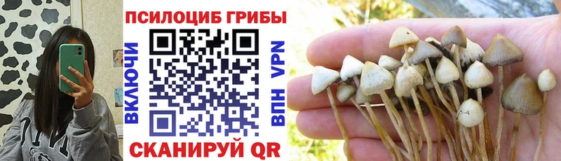 Псилоцибиновые грибы ЛСД  закладки  Дыгулыбгей 
